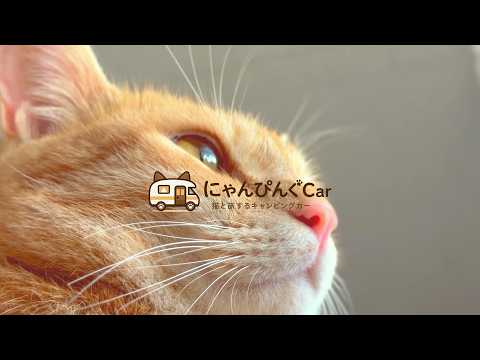 日本初・猫専用キャンピングカーのご紹介の動画サムネイル